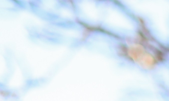 Será más fácil renovar la licencia CDL en California en 2024