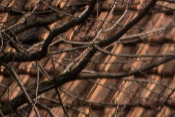 Autos que se podrán importar legalmente en 2024