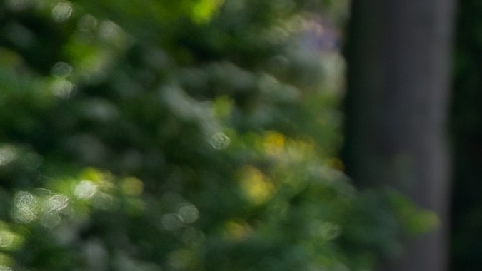 Audi Quattro: el carro de la tracción total