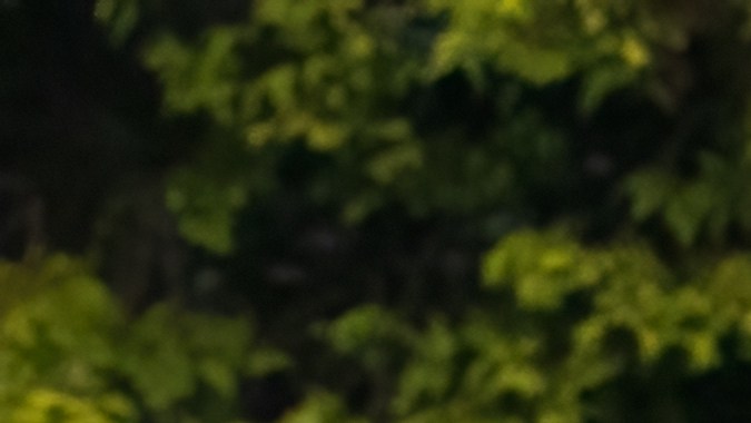 Autos que se podrán importar legalmente en 2024