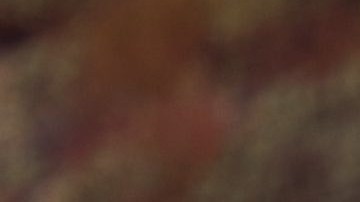 Auto detras de otro auto