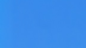 yonkes en west palm beach