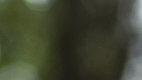 infracciones que pueden llevarte a la cárcel en florida