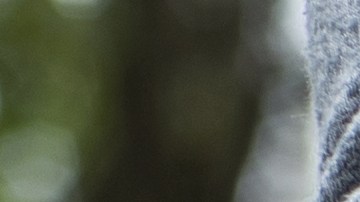 infracciones que pueden llevarte a la cárcel en florida