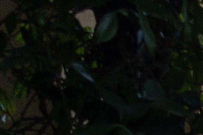 rolls royce ghost 2024