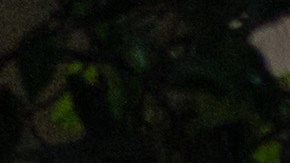 rolls royce ghost 2024