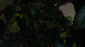 rolls royce ghost 2024