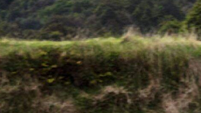 Los Jeep Wranglers de dos puertas ahora pueden agregar llantas más grandes