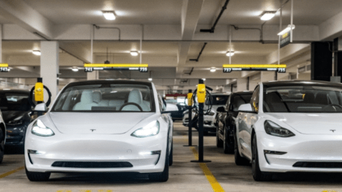 Hertz está vendiendo 20,000 Tesla: cómo conseguir buenos precios