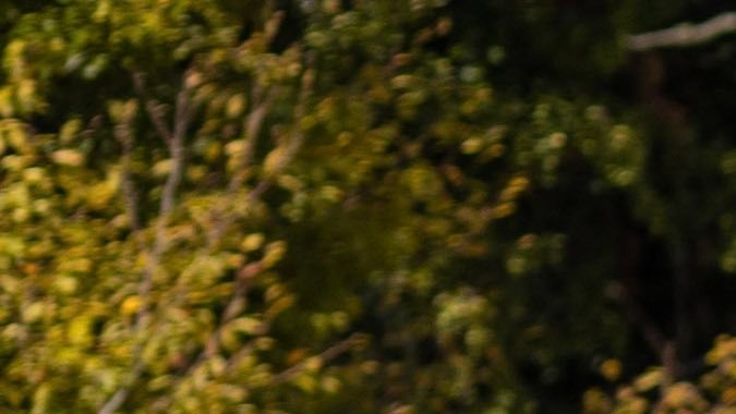 porsche taycan record velocidad Nürburgring