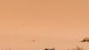 Los autos que participaran en el Rally Dakar 2024