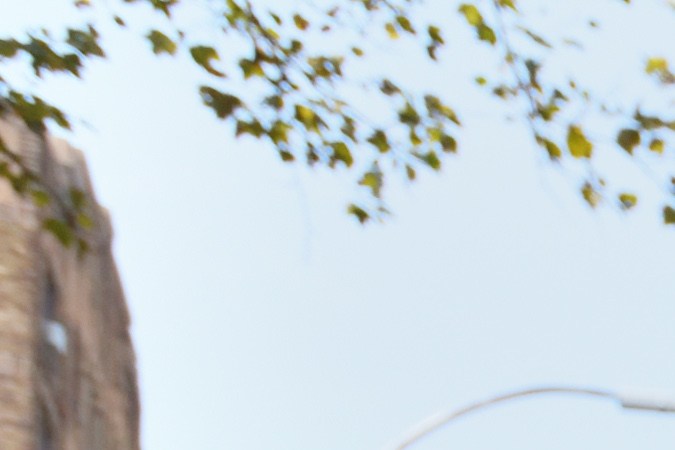 ¿Es necesario registrar una motocicleta eléctrica en New York?