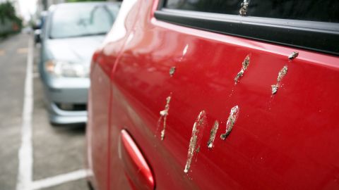 auto favorito de las palomas para hacer caca
