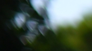 Riesgos de conducir autos con altura mínima del suelo