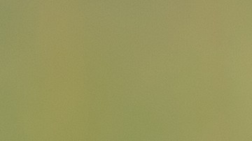 Qué son los servicios de suscripción en un auto