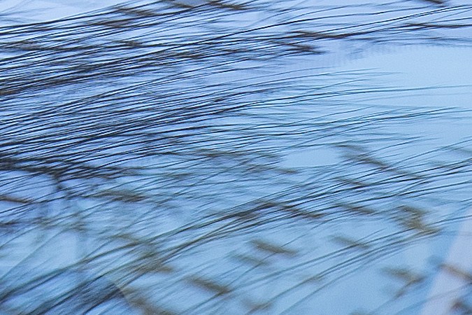 concudir sin licencia en miami