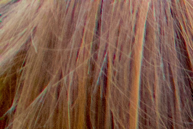 placas temporales en Maryland