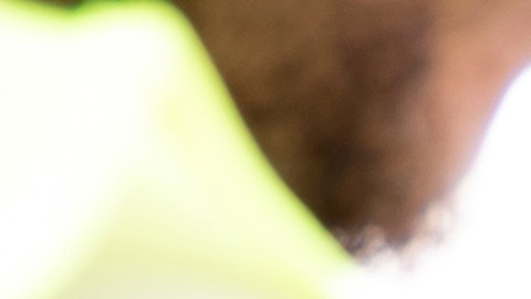 ¿Qué es un BAC alto para un DUI?