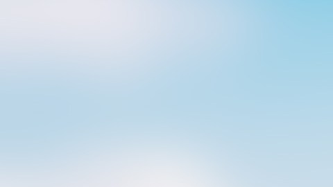 Descubre los mejores soportes para teléfono de carro