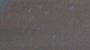 Trucos para darle brillo a los faros del auto