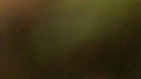 ¿Cuántos errores se permiten en un examen de conducir en USA?