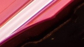 Inspección de carros en Washington DC