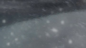 cómo manejar una moto de nieve