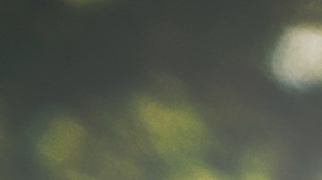 carros con capó alto riesgos