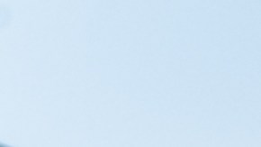 Volatilidad correcta para cada vehículo.