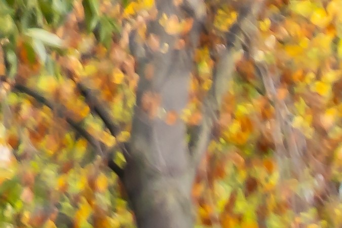 ¿Cuáles son los costos reales de un auto eléctrico?