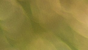 licencia de conducir mexico