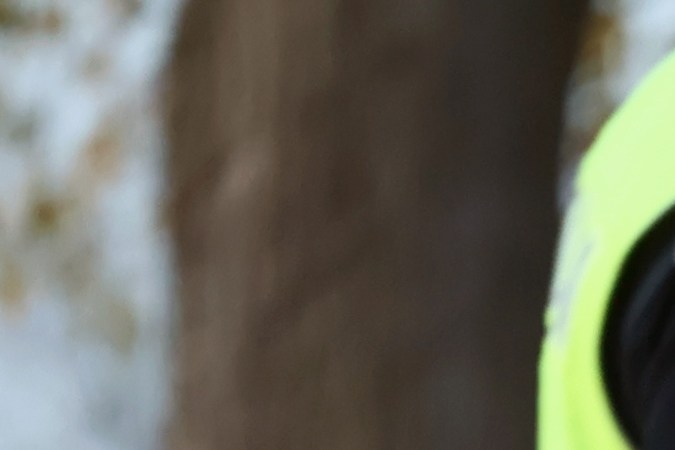 ticket por pasar con luz roja en California