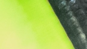 ¿Cómo checar las multas de tránsito?