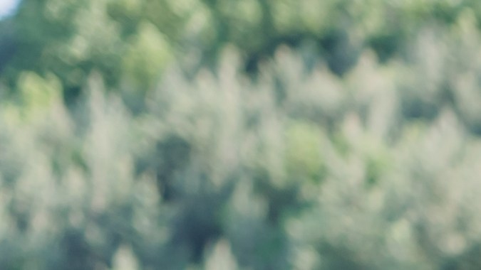 ¿Cuáles son los costos reales de un auto eléctrico?