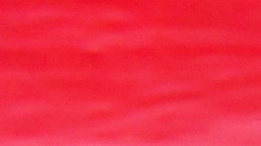 placas temporales en Maryland