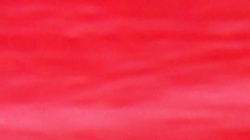 placas temporales en Maryland