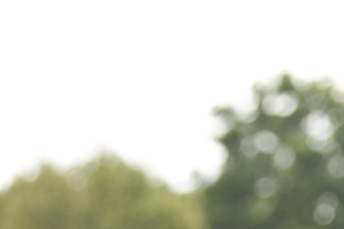 Licencias para indocumentados de Massachusetts: New Hampshire podría desconocerlas