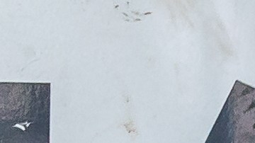 Cuánto tiempo puedo andar con las placas vencidas