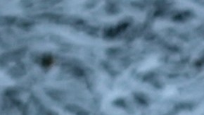 La solución exprés para el frío: calentando el interior del carro de manera rápida