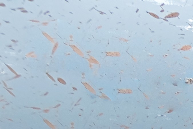 ¿Cómo sacar un carro del lodo?