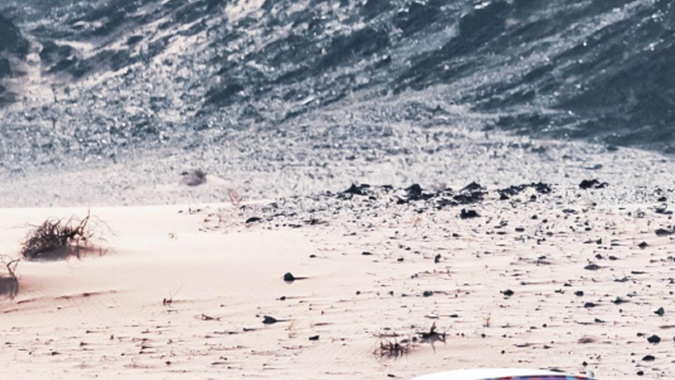 Todo lo que debes saber sobre el Rally Dakar 2024