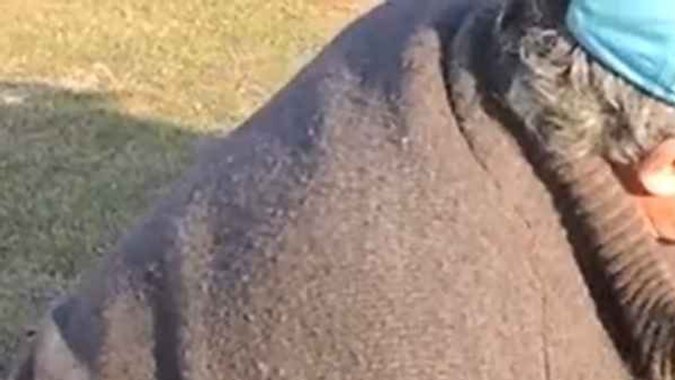 cadenas nieve invento