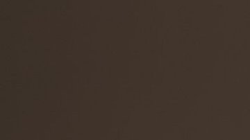 Porsche Mission X Concept.