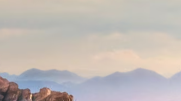 Honda Civic sedan vs hatchback: cuál es para ti