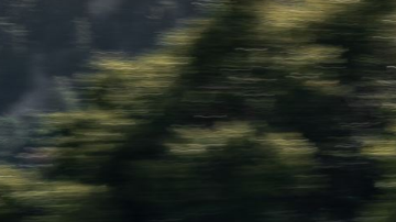 KIA muestra la nueva Carnival 2025