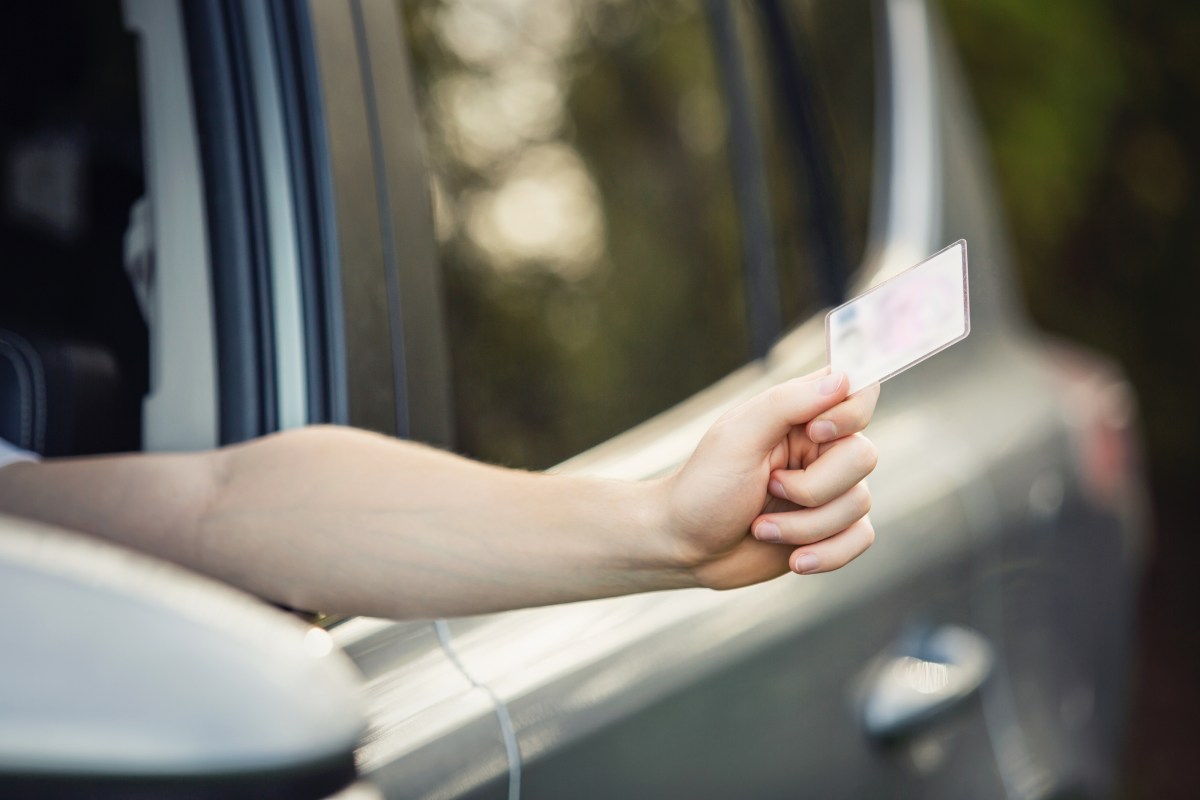 licencias de conducir para indocumentados en carolina del norte