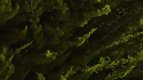 ID.7 Tourer, la primera camioneta eléctrica de Volkswagen