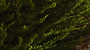 ID.7 Tourer, la primera camioneta eléctrica de Volkswagen