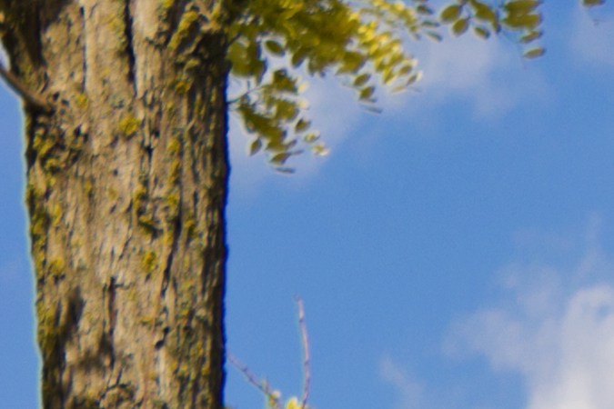 Conducir el carro usando el punto muerto