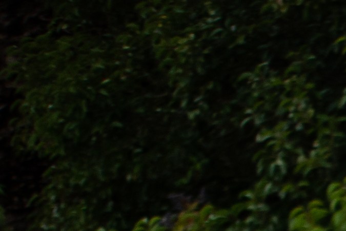 Dodge Viper, el icónico deportivo que los americanos extrañan